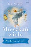 Mieszkań wiele. Autor: John Woolley. Dadada.pl Okładka książki Mieszkań wiele