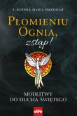 Płomieniu ognia, zstąp! Modlitwy do Duchu Świętego. Autor: s.Bożena Maria Hanusiak. Dadada.pl Okładka książki Płomieniu ognia, zstąp! Modlitwy do Duchu Świętego