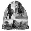 Opakowanie Worek na buty Horse 17-712HO PASO