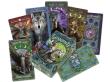 Anne Stokes Legends Tarot. Wydawca: Fournier. Dadada.pl Opakowanie Anne Stokes Legends Tarot