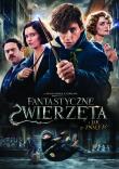 Fantastyczne zwierzęta i jak je znaleźć DVD. Autor: David Yates. Dadada.pl Okładka książki Fantastyczne zwierzęta i jak je znaleźć DVD