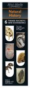 Opakowanie IF Zakładki magnetyczne Natural History (6 sztuk)