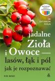 Jadalne zioła i owoce lasów, łąk i pól. Autor: Rudi Beiser. Dadada.pl Okładka książki Jadalne zioła i owoce lasów, łąk i pól