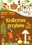 Królestwo grzybów. Młody obserwator przyrody + naklejki i plakat. Autor: Opracowanie zbiorowe. Dadada.pl Okładka książki Królestwo grzybów. Młody obserwator przyrody + naklejki i plakat
