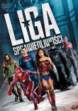 Liga sprawiedliwości DVD. Autor: Zack Snyder. Dadada.pl Okładka książki Liga sprawiedliwości DVD