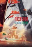 Przygody Skrzata Zapałka. Autor: Jolanta Pochylska-Zeman. Dadada.pl Okładka książki Przygody Skrzata Zapałka