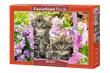 Opakowanie Puzzle 1000 Kittens in Summer Garden CASTOR