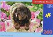Opakowanie Puzzle 260 Cute Daschshund