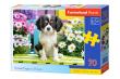 Opakowanie Puzzle 70 Spaniel in flowers CASTOR