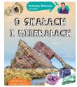 Radosław Żbikowski opowiada o skałach i minerałach. Autor: Radosław Żbikowski. Dadada.pl Okładka książki Radosław Żbikowski opowiada o skałach i minerałach