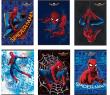 Opakowanie Zeszyt A5/54K linia Spiderman 3 (10szt)