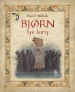 BJORN Syn burzy. Autor: Wakuła Paweł. Dadada.pl Okładka książki BJORN Syn burzy