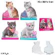 NOTES KITTY TOP MODEL 6358A. Wydawca: PLUS-Z. Dadada.pl Opakowanie NOTES KITTY TOP MODEL 6358A