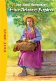 Ania z Zielonego Wzgórza w.2018 SIEDMIORÓG. Autor: Montgomery Lucy Maud. Dadada.pl Okładka książki Ania z Zielonego Wzgórza w.2018 SIEDMIORÓG