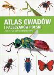 ATLAS OWADÓW I PAJĘCZAKÓW POLSKI PRZEWODNIK OBSERWATORA. Autor: Radomir Jaskuła, Krzysztof Pabis, G. TOŃCZYK. Dadada.pl Okładka książki ATLAS OWADÓW I PAJĘCZAKÓW POLSKI PRZEWODNIK OBSERWATORA