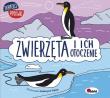 Dopasuj połówki. Zwierzęta i ich otoczenie. Autor: Wiśniewska Joanna. Dadada.pl Okładka książki Dopasuj połówki. Zwierzęta i ich otoczenie