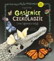 GĄSIENICE W CZEKOLADZIE I INNE TAJEMNICE MOTYLI. Autor: Krzysztof Pabis. Dadada.pl Okładka książki GĄSIENICE W CZEKOLADZIE I INNE TAJEMNICE MOTYLI
