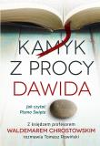 Okładka książki Kamyk z procy Dawida