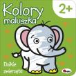 KOLORY MALUSZKA 4 DZIKIE ZWIERZĘTA. Autor: Piotr Kozera. Dadada.pl Okładka książki KOLORY MALUSZKA 4 DZIKIE ZWIERZĘTA