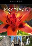PRZYJAŹŃ WYD. 3. Autor: Robert Nęcek. Dadada.pl Okładka książki PRZYJAŹŃ WYD. 3