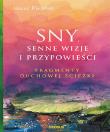 Sny, senne wizje i przypowieści. Fragmenty duchowe. Autor: Wielobób Maciej. Dadada.pl Okładka książki Sny, senne wizje i przypowieści. Fragmenty duchowe