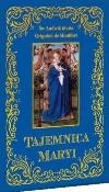 Okładka książki Tajemnica Maryi