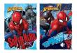 Opakowanie Teczka z gumką A4 Spider Man