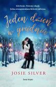 Jeden dzień w grudniu. Autor: Silver Josie. Dadada.pl Okładka książki Jeden dzień w grudniu