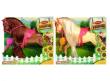Opakowanie Konik z akcesoriami mix
