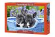 Opakowanie Puzzle 1000 French Bulldog Puppies CASTOR
