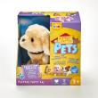 Opakowanie Zabawny szczeniaczek Labrador ADDO