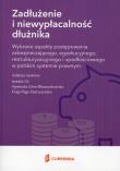 Zadłużenie i niewypłacalność dłużnika. Wydawca: Currenda. Dadada.pl Opakowanie Zadłużenie i niewypłacalność dłużnika