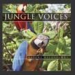 Jungle Voices CD. Wydawca: CD-CONTACT. Dadada.pl Opakowanie Jungle Voices CD