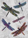 Opakowanie Karnet B6 z kopertą Dragonfly Dance