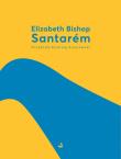 Santarem. Autor: Bishop Elizabeth. Dadada.pl Okładka książki Santarem