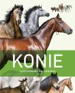 Konie. Ilustrowany przewodnik. Autor: praca zbiorowa. Dadada.pl Okładka książki Konie. Ilustrowany przewodnik