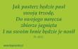 Opakowanie Magnes 45 na lodówkę - Jak pasterz będzie pasł..