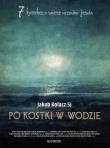 Okładka książki Po kostki w wodzie - Audiobook
