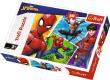 Opakowanie Puzzle 30 Spider-Man i Miguel TREFL