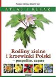 Rośliny zielne i krzewinki Polski. Autor: Urbisz Andrzej, Urbisz Alina. Dadada.pl Okładka książki Rośliny zielne i krzewinki Polski