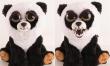 Opakowanie Feisty Pets - Panda
