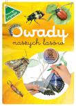 Owady naszych lasów zeszyt w kalką. Autor: Katarzyna Kopiec-Sekieta. Dadada.pl Okładka książki Owady naszych lasów zeszyt w kalką