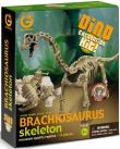Opakowanie Wyprawa Paleontologiczna - Brachiosaurus
