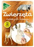Zwierzęta naszych lasów zeszyt z kalką. Autor: Katarzyna Kopiec-Sekieta. Dadada.pl Okładka książki Zwierzęta naszych lasów zeszyt z kalką