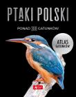 Ptaki Polski Atlas gatunków. Autor: Przybyłowicz Anna, Przybyłowicz Łukasz, Włodarczyk Radosław. Dadada.pl Okładka książki Ptaki Polski Atlas gatunków