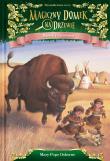 RANEK Z BIZONAMI MAGICZNY DOMEK NA DRZEWIE. Autor: Mary Pope Osborne. Dadada.pl Okładka książki RANEK Z BIZONAMI MAGICZNY DOMEK NA DRZEWIE