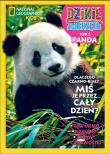 Okładka książki Dzikie Zwierzęta Panda t.3   /K/
