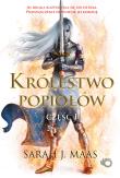 KRÓLESTWO POPIOŁÓW CZĘŚĆ 1 SZKLANY TRON TOM 6. Autor: Sarah J. Maas. Dadada.pl Okładka książki KRÓLESTWO POPIOŁÓW CZĘŚĆ 1 SZKLANY TRON TOM 6