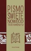 Pismo Świete - NT z ilustracjami. Autor:   Praca zbiorowa. Dadada.pl Okładka książki Pismo Świete - NT z ilustracjami