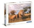 Opakowanie Puzzle 1000 High Quality Collection The King